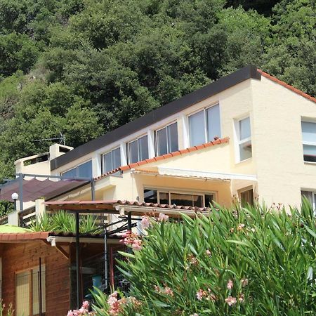 Vila Mas Solar D'En Malcion Amélie-les-Bains-Palalda Exteriér fotografie