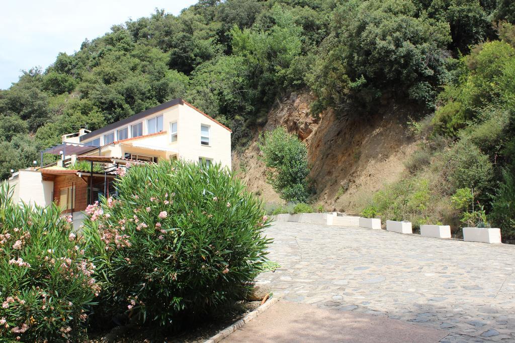Vila Mas Solar D'En Malcion Amélie-les-Bains-Palalda Exteriér fotografie