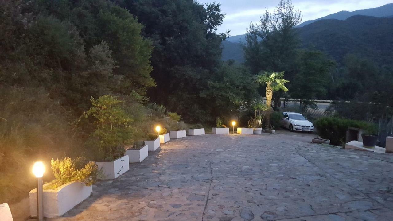 Vila Mas Solar D'En Malcion Amélie-les-Bains-Palalda Exteriér fotografie