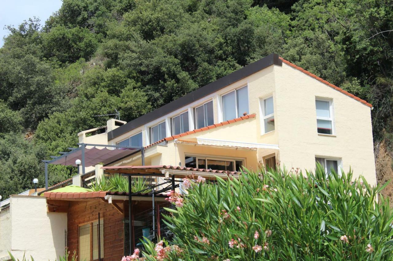 Vila Mas Solar D'En Malcion Amélie-les-Bains-Palalda Exteriér fotografie